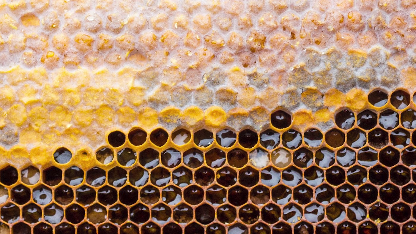 Honeycomb